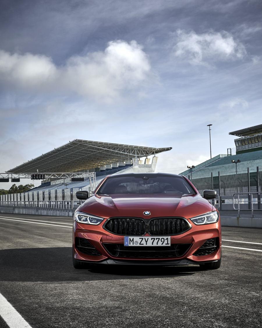  BMW M850i xDrive Carbon Package (G15) 2018 года  (WW) (фото 136 из 287)